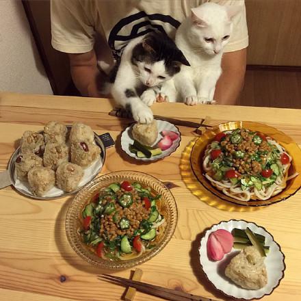 晒干食物