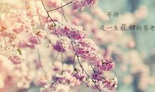 经典优美的句子