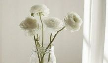 走心经典短句 经典而走心的说说