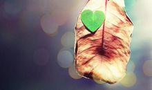 渴望幸福的经典爱情语句