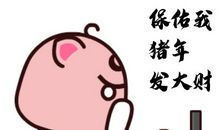 猪年春节搞笑短信