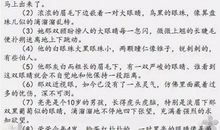 描写节日的英文句子