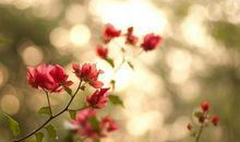 春天里孩子们开心的句子