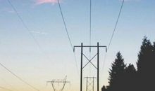 心灰意冷的句子对生活失望的句子