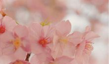 2020干净走心励志早安短句 治愈系励志正能量句子