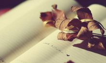 唯美青春爱幸福句子