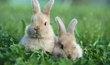 形容开心合家团聚的句子