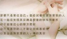 抒情议论语段的句子