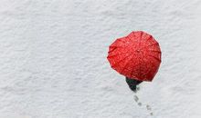 描写浓雾的好句子