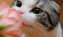 网络搞笑流行语：以前我总感觉空气不值钱，直到买了包薯片