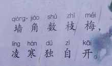 描写梅花品格的诗句