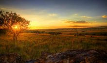 描写沙漠的好句子