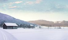 描写冬天环境的优美句子