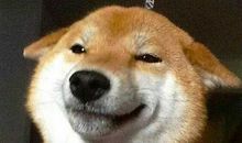 让你瞬间开心的句子