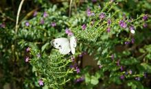 有深刻哲理的句子 深刻哲理唯美短句