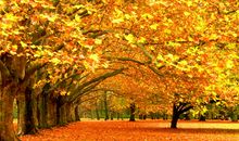 天气转凉短信问候语