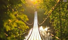 十句关于亲情的句子长一点的