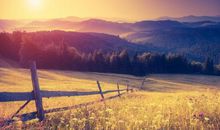 描写寺庙祠堂的句子