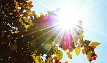 微博经典语录：心事这东西你捂着嘴它就会从你眼睛里跑出来