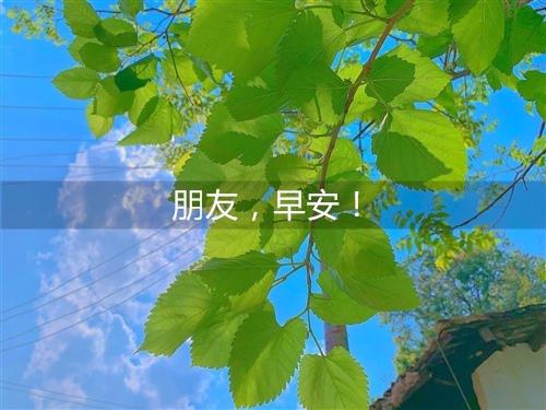 在每一天的开始