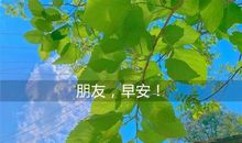 朋友圈每日一句早安暖心话