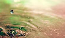 优美的写景句子大全