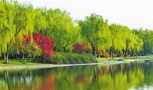 描写自然风光的段落