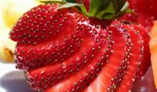 亲情之间的感情的句子