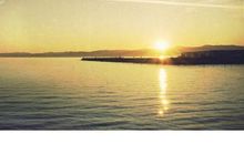 心寒对感情失望的句子