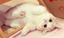 一句话经典语录：要么忙于生存，要么赶着去死