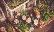 看到花开心情开心的句子