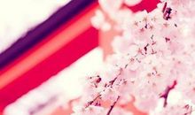 三月初问候短信