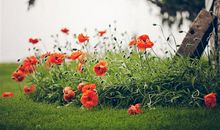 齐心协力抗病毒的说说 抗病毒的朋友圈说说