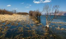 华灯初上时描写夜晚景色的经典句子