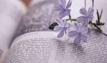 发朋友圈的短句子