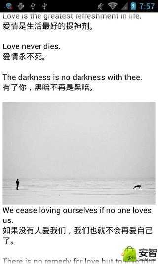 关于爱情的英文句子带翻译 0