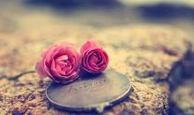 向男生表白的语句