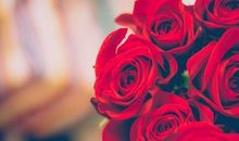 愿人每天都开心的句子