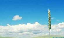 天气冷了关心朋友的句子