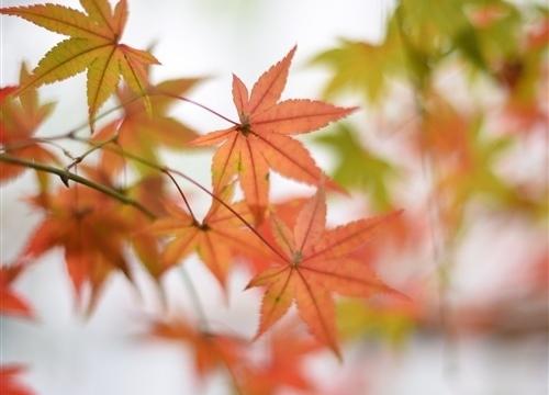 另一个人的阴影会像无处不在的水一样进入您的心灵