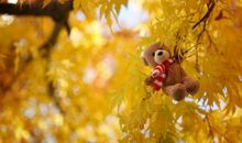 2019关于不幸福的句子说说