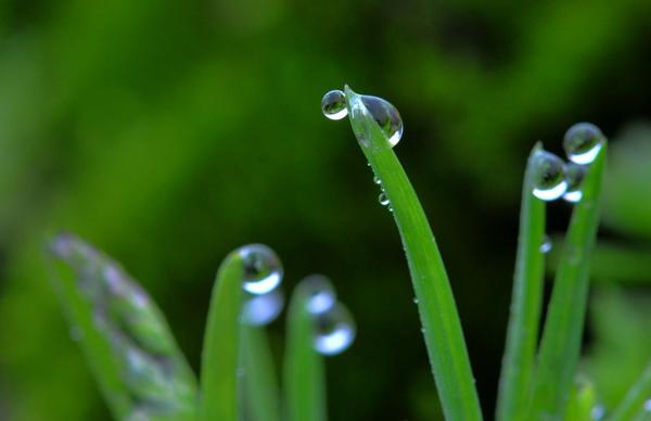    关于春雨的优美句子  1