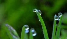 关于春雨的优美句子