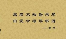 经典讽刺名言