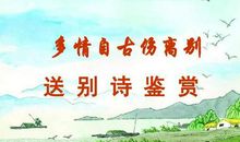 表示离别之情的诗句