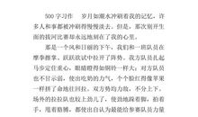 描写比赛场面的句子