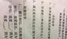 写出描写莲花的名句