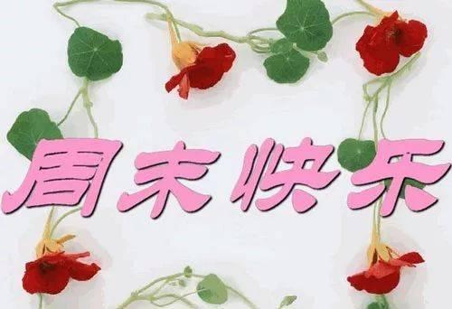 周末的开始是一个美好的开始