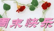 周末不上班开心的句子