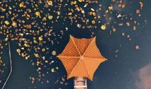 加缪《局外人》经典名句 《局外人》里最经典的句子